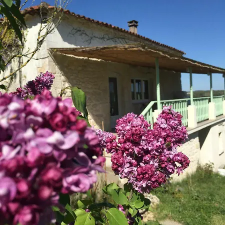 Des Papillons * Fargues (Lot)