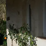 Des Papillons *